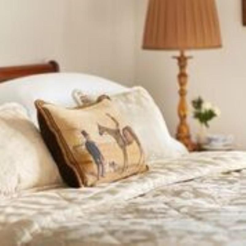 Heatons Guesthouse Дингъл Екстериор снимка